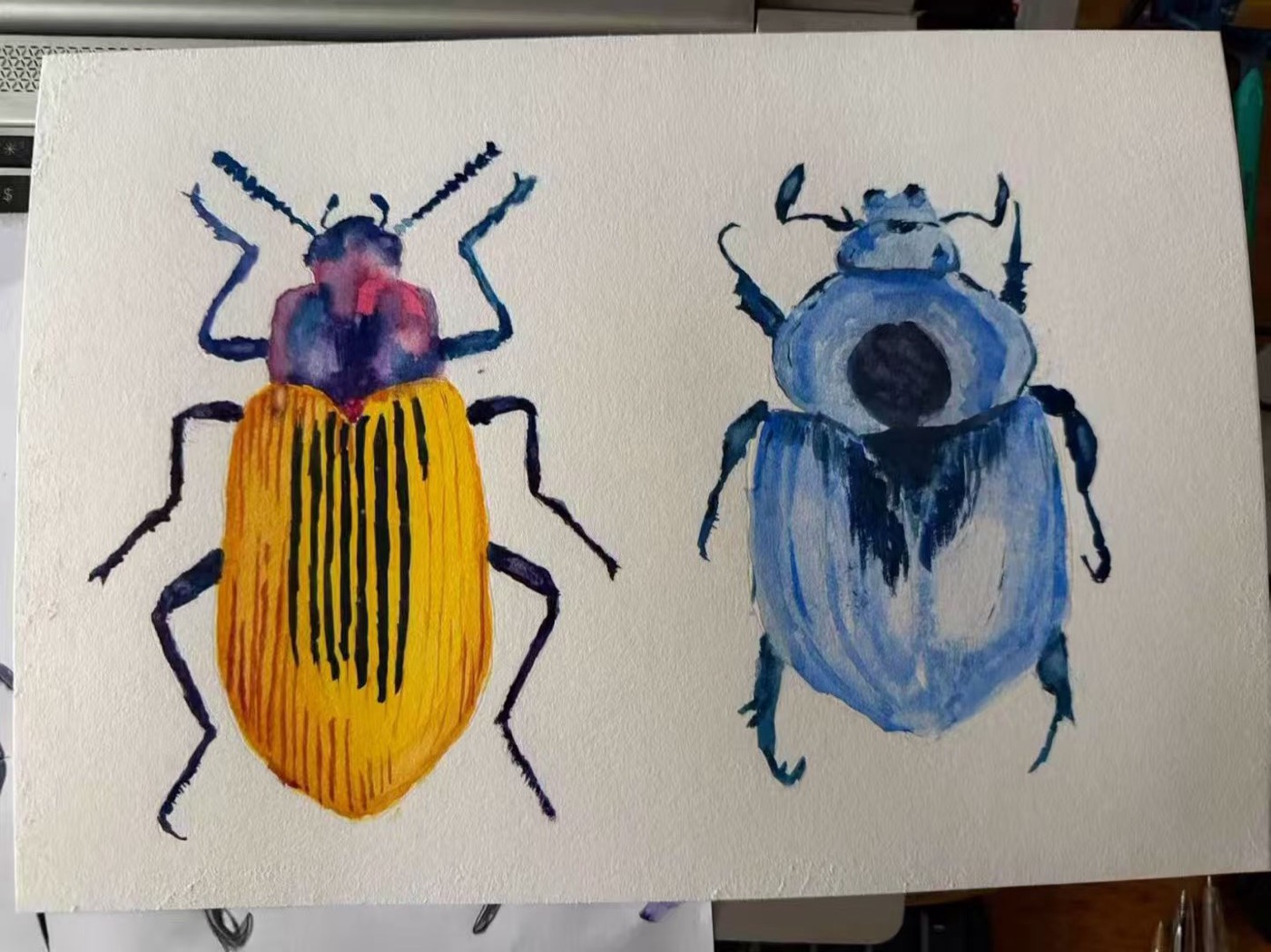 Watercolour of two beetles